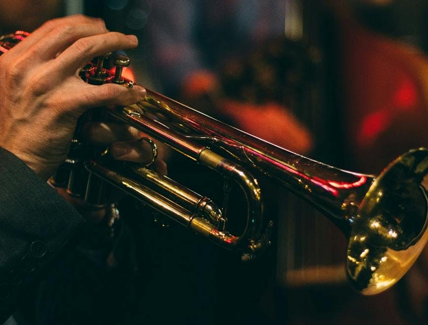 trumpet cornet musical instrument horn brass section person human flugelhorn