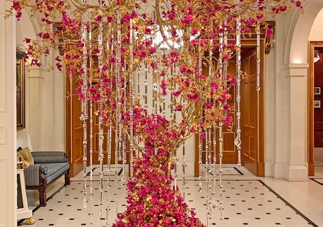 plant lobby indoors room interior design flower blossom floor petal