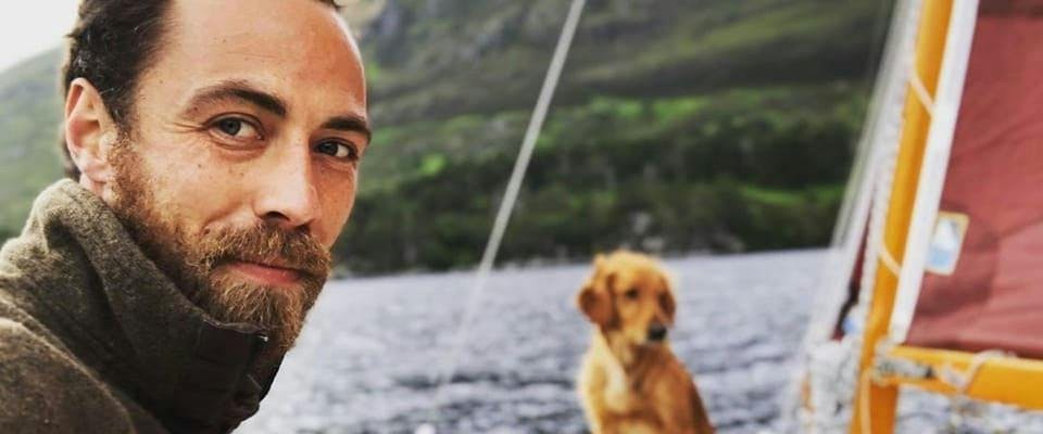 face person dog mammal animal canine pet golden retriever outdoors beard