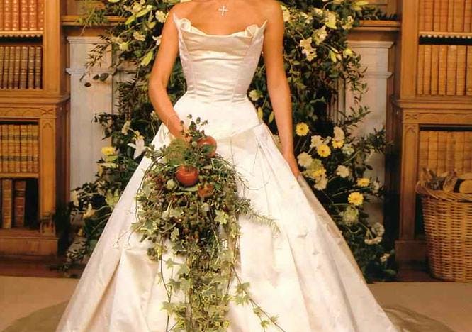 clothing person wedding gown wedding gown fashion robe female plant woman