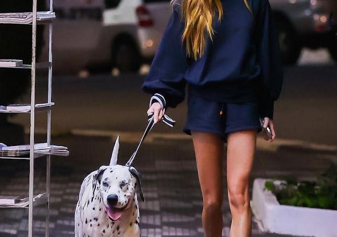 person human dog pet canine mammal animal shoe clothing footwear