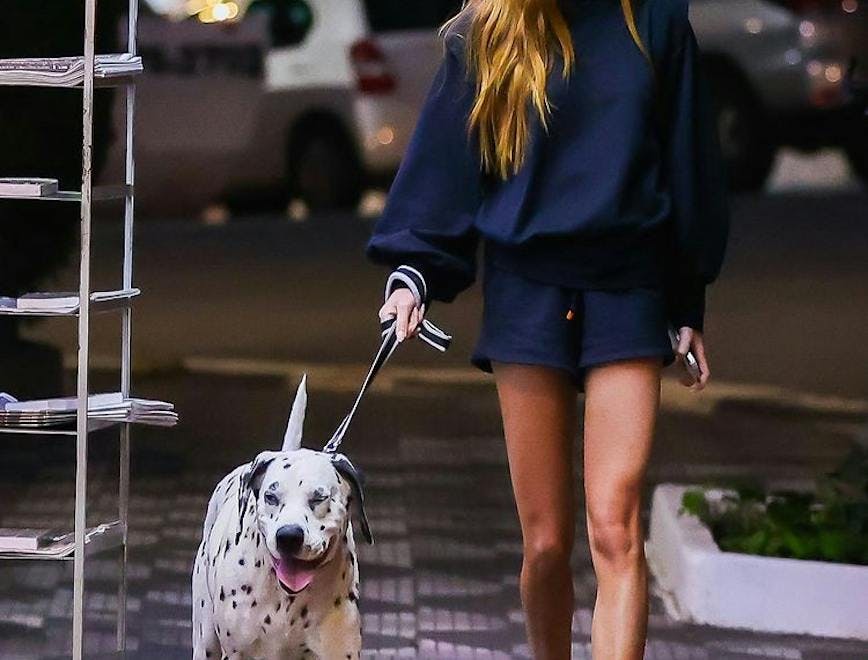 person human dog pet canine mammal animal shoe clothing footwear