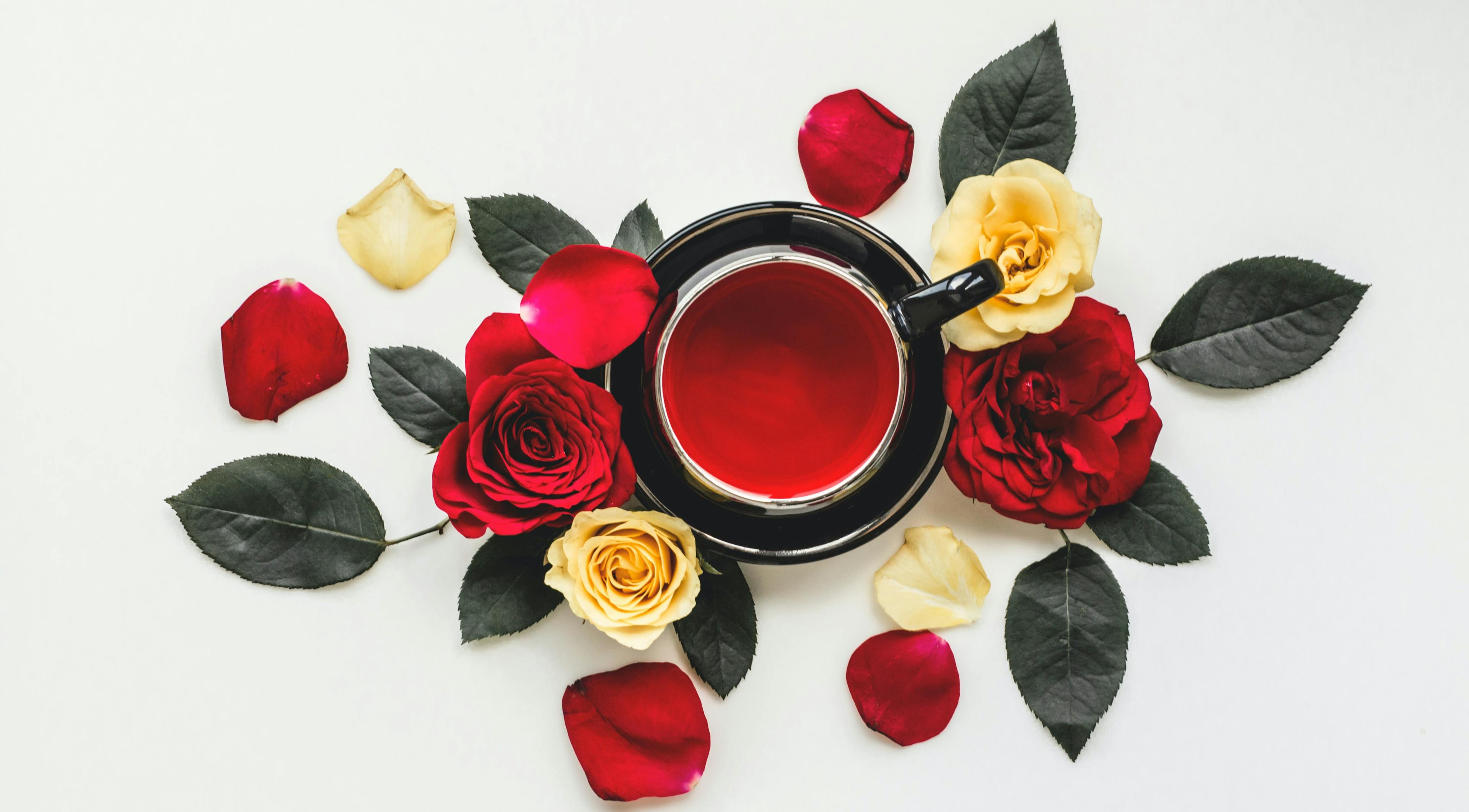 rose plant flower blossom tea beverage drink petal