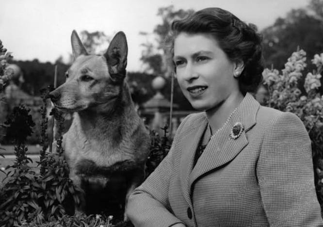 Rainha Elizabeth e seu cachorro