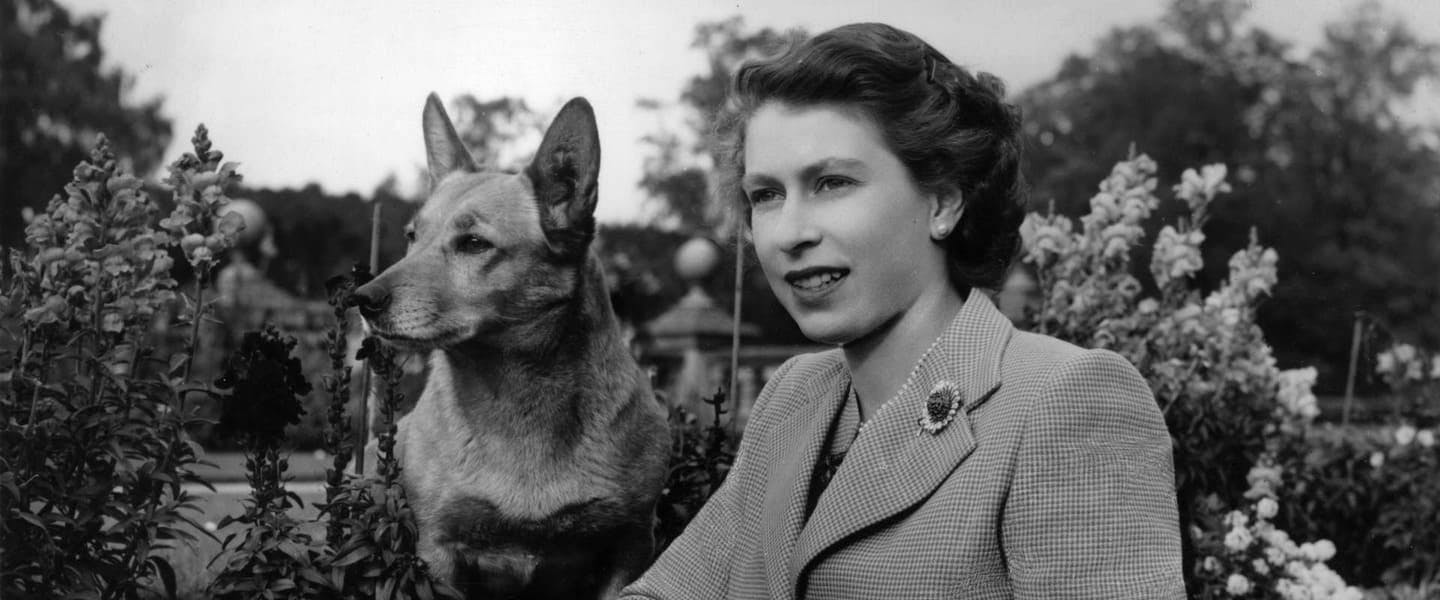 Rainha Elizabeth II e cachorro