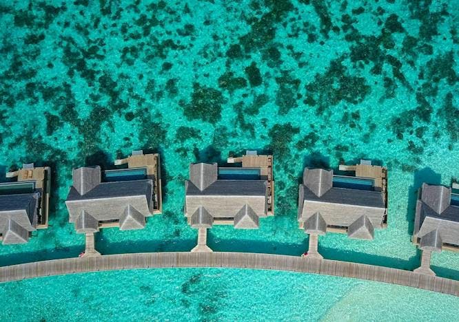 Maldivas realiza o primeiro leilão de ilhas do mundo
