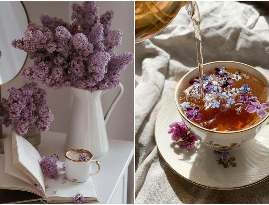 Chá com flores 