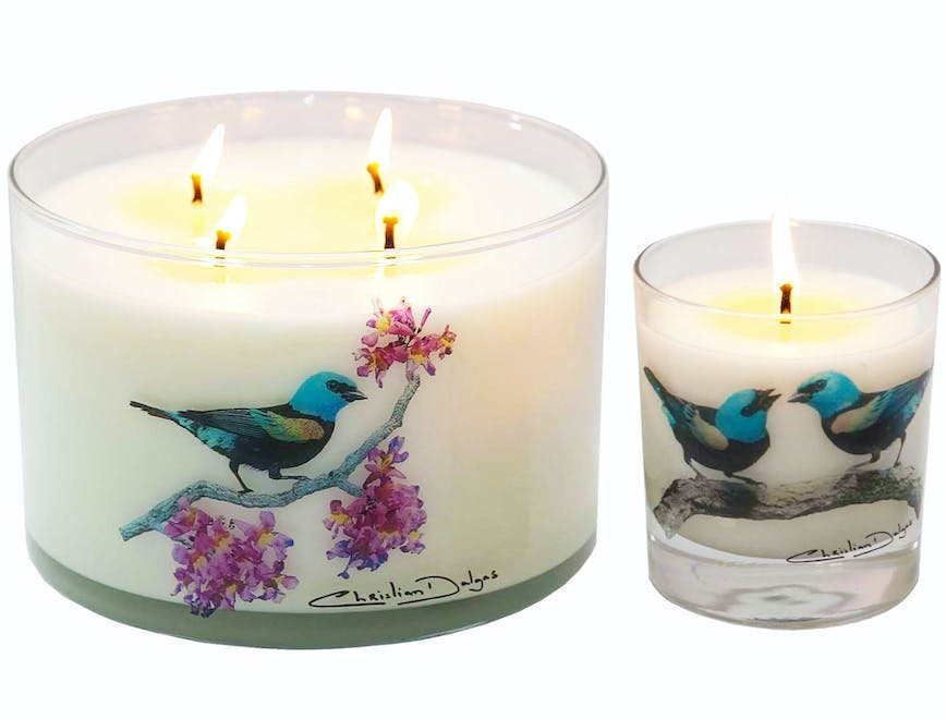 candle bird animal