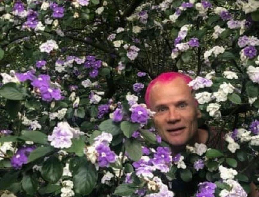 Flea irá lançar uma autobiografia