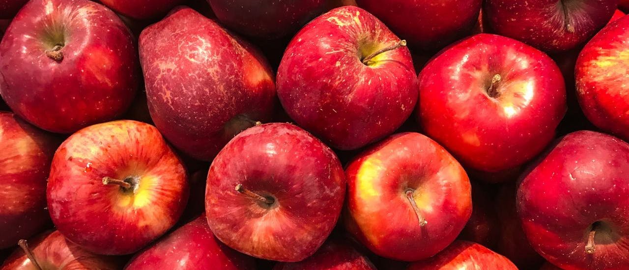 apple fruit produce food plant
