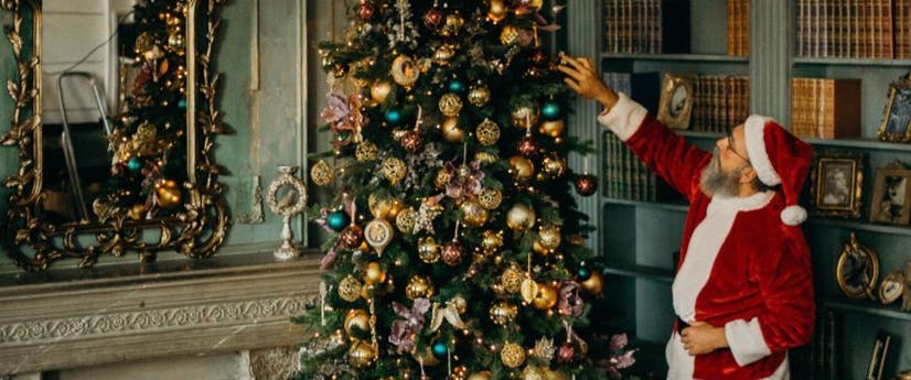 festival christmas person man adult male christmas decorations christmas tree