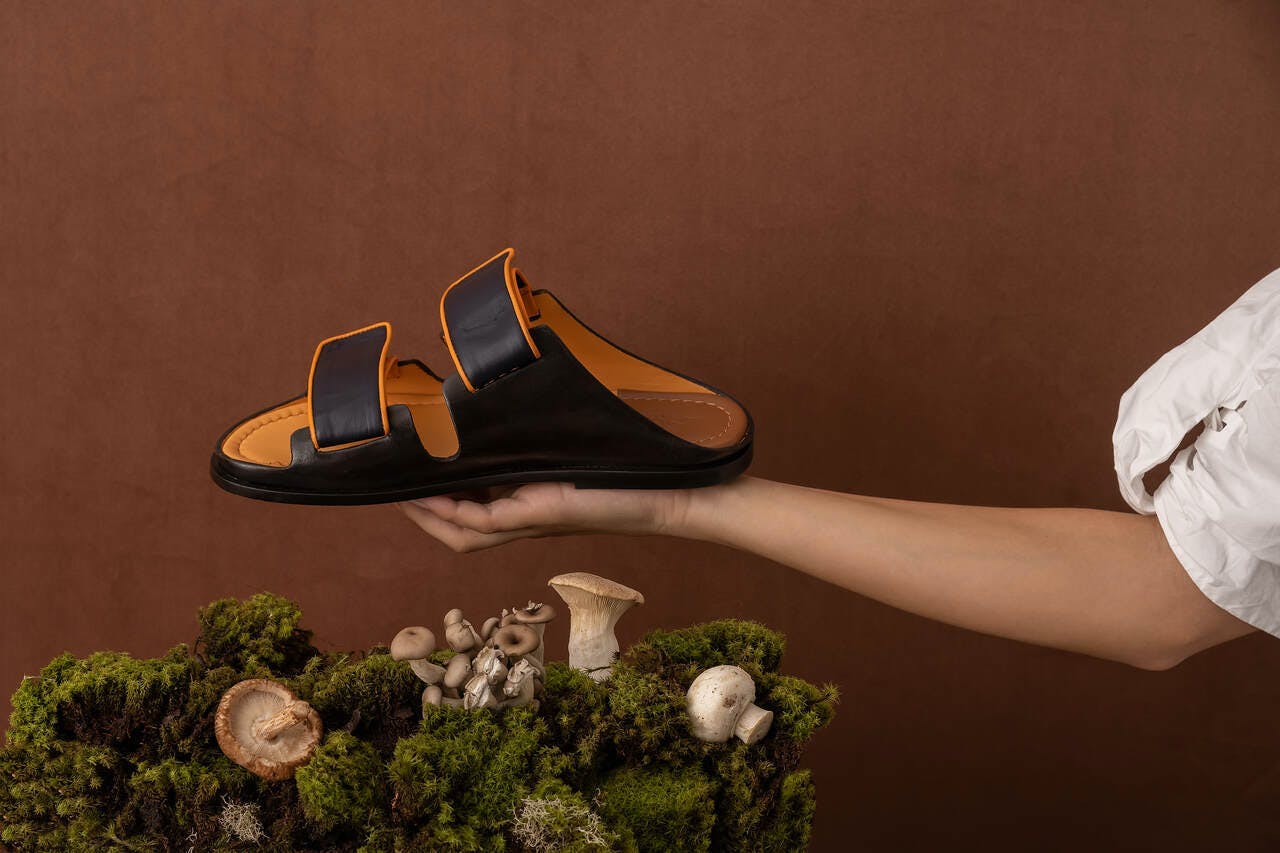clothing footwear sandal shoe fungus plant