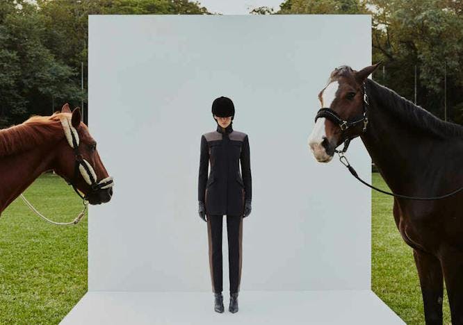 electronics camera person photoshoot animal horse mammal clothing coat
