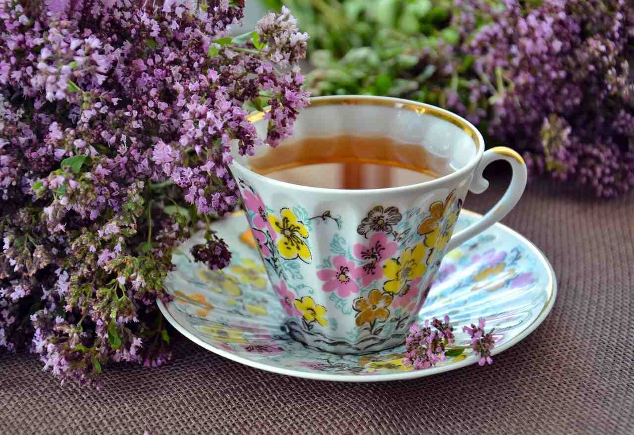 cup saucer flower plant herbal herbs