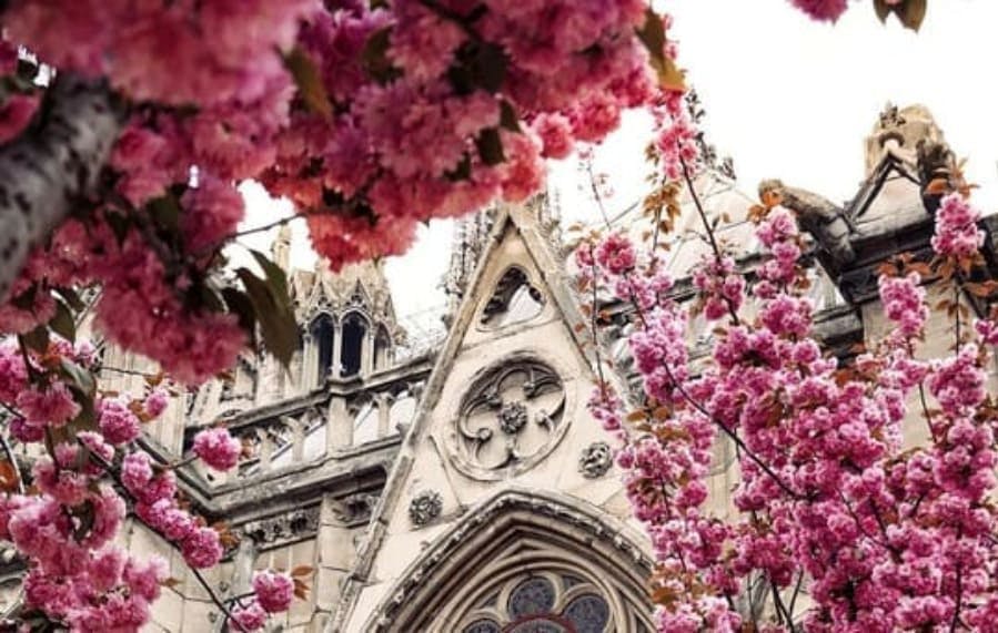 Catedral de Notre-Dame de Paris